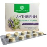 Антивірин 60 таб. Рослина Карпат. Рослинний противірусний комплекс для зміцнення імунної системи РК0048 фото