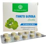 Гінкго Білоба LECITHIN 60 таб. Рослина Карпат. Підтримка пам'яті, концентрації та мозкової активності РК0056 фото