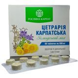 Цетрарія карпатська Рослина Карпат 60 таб. Для підтримки здоров'я дихальних шляхів РК0082 фото